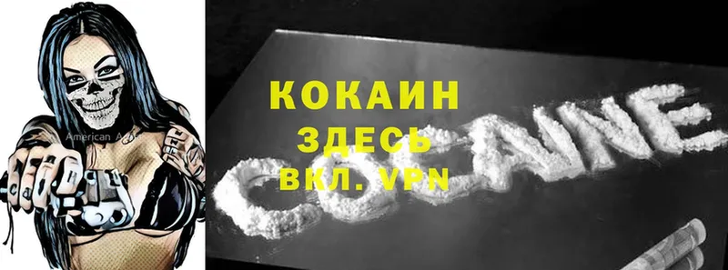 мега   дарнет шоп  Губкин  Cocaine Эквадор 