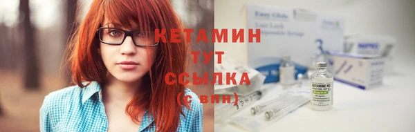 прущие грибы Горняк