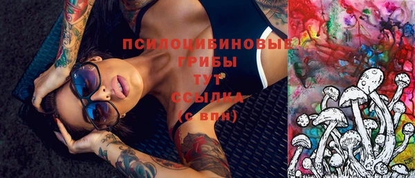спиды Вязьма