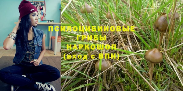 каннабис Вяземский