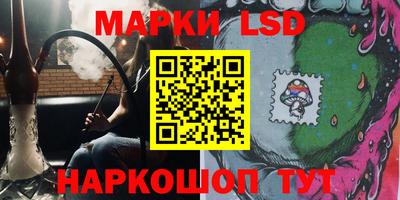 шишки Бийск