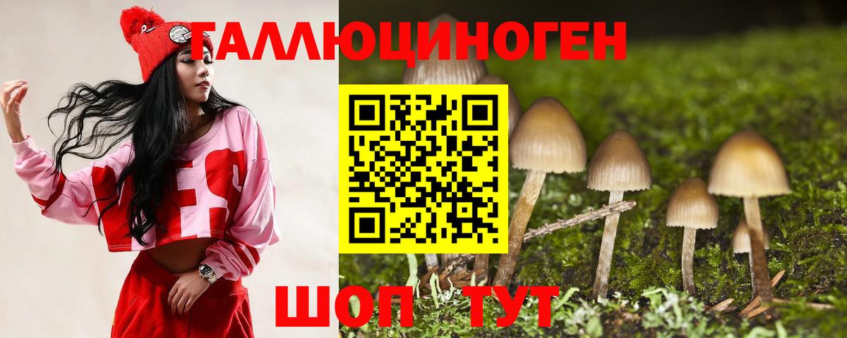 Галлюциногенные грибы прущие грибы  Вход с VPN  Галлюциногенные грибы мухоморы  Губкин 