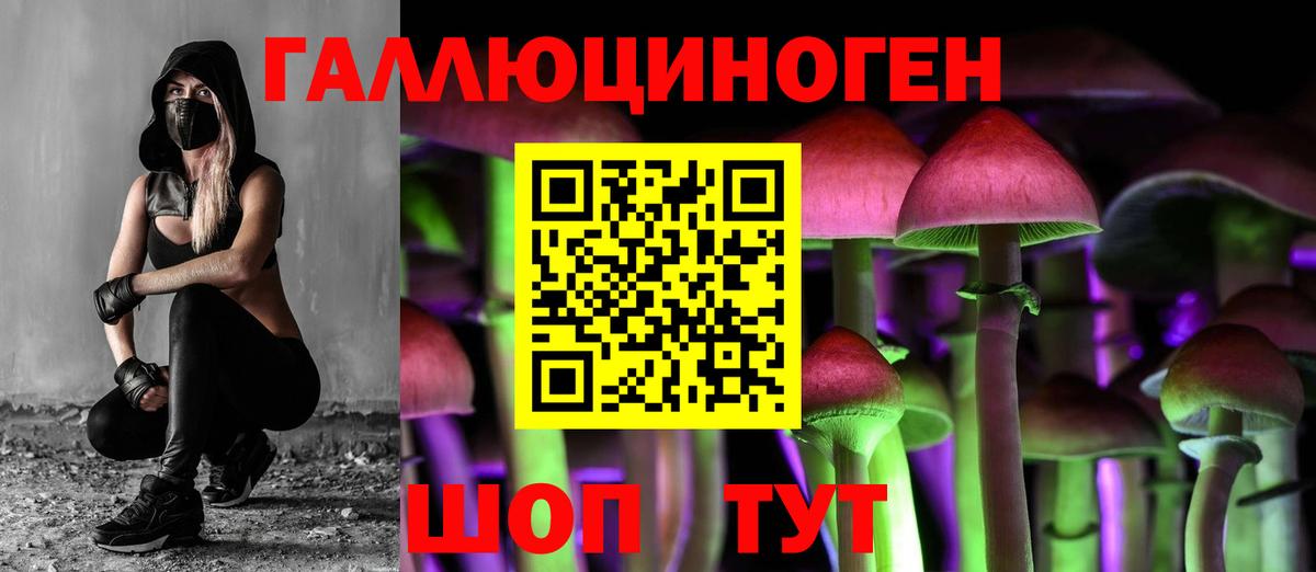Псилоцибиновые грибы Cubensis  Галлюциногенные грибы MAGIC MUSHROOMS  Губкин 