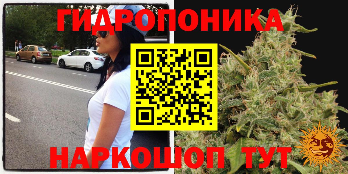 Шишки марихуана Ganja  Вход с VPN  Конопля Ganja  Бошки Шишки марихуана  Губкин 